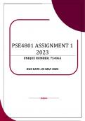 PSE4801 ASSIGNMENT 1 – 2023 (754965)