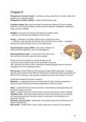 Year 1 Psychology RUG - summaries of 5 courses of the first year