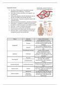 Endocrine system - Class notes
