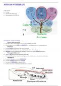 Lecture notes Zen 261 (ZEN261)  Vertebrate Biology