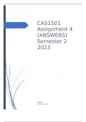 CAS1501 Assignment 4.