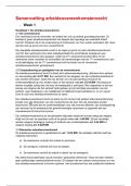 Samenvatting arbeidsovereenkomstenrecht UvA 2023/2024