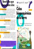 los ciclos biogeoquímicos 