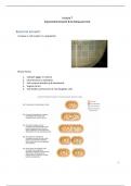 MIP 300 lecture 7 bacterial growth and measurement 