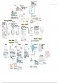 WJEC AS-level Biology - Unit 1.4 Enzymes and Biological Reactions Notes
