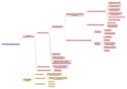 Mind map of Management: A Practical Introduction 8th