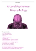 Biopsychology Revision Notes