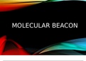 Tutor BM5, blok 1, weektaak 2; Molecular Beacon PowerPoint 