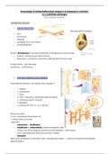 Immunologie - botweefselfysiologie