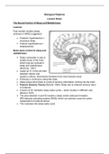 Section 3 (Sleep) - Biological Rhythms Lecture Notes