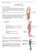 Complete Notes for Anatomy Limb and Trunk Fundamentals 