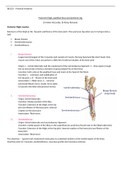 Complete Limb and Trunk Anatomy Notes