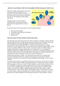 mammalian body cells and interaction with plasmodium