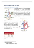 Samenvatting Menselijke Fysiologie Hoofdstuk 6 Gasuitwisseling en transport van gassen