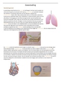 ademhalingsstelsel, biologie voor jouw hoofdstuk 5