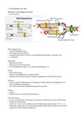 Molekulargenetik Biologie 11/2 (proteinbiosynthese, replikation der DNA, genetische code) 