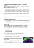 Neurons and Synapses (BB094) Summary of all lectures