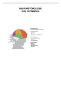 Neuropsychologie: uitgebreide samenvatting van de colleges met veel plaatjes!
