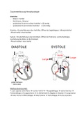 Herzphysiologie