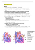Cardiovasculair systeem 