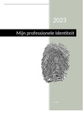 Beroepsproduct 8.1: Professionele identiteit. Position paper a.d.h.v. Manon Ruijters.