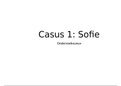 powerpoint pitch casus 1 Sofie