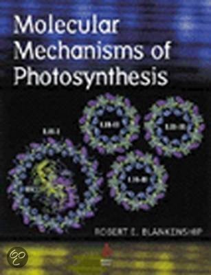 Molecular Mechanisms of Photosynthesis Summary