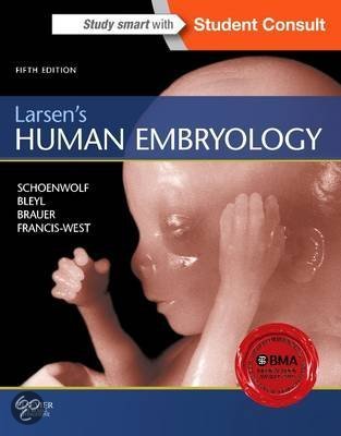 Larsen's human embryology summary